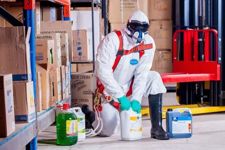 Spring Cleaning for Pest Control: Essential Steps to Prevent Infestations
